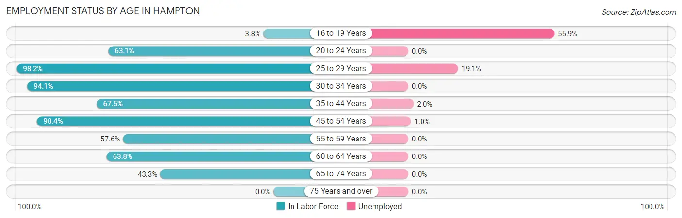 Employment Status by Age in Hampton