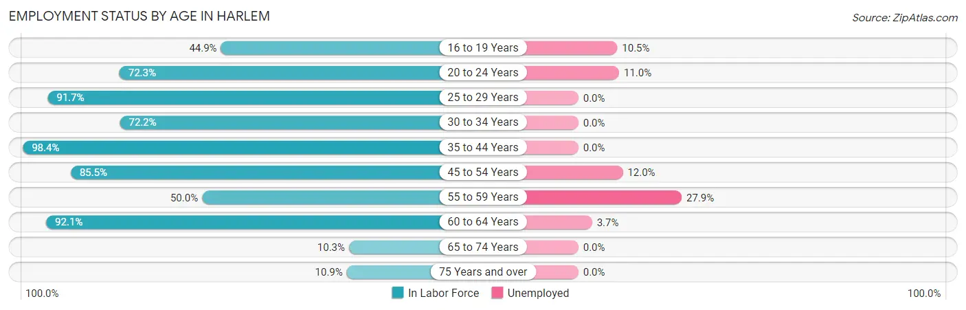 Employment Status by Age in Harlem