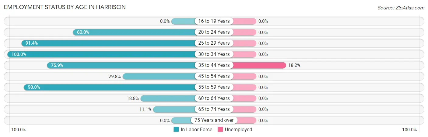 Employment Status by Age in Harrison