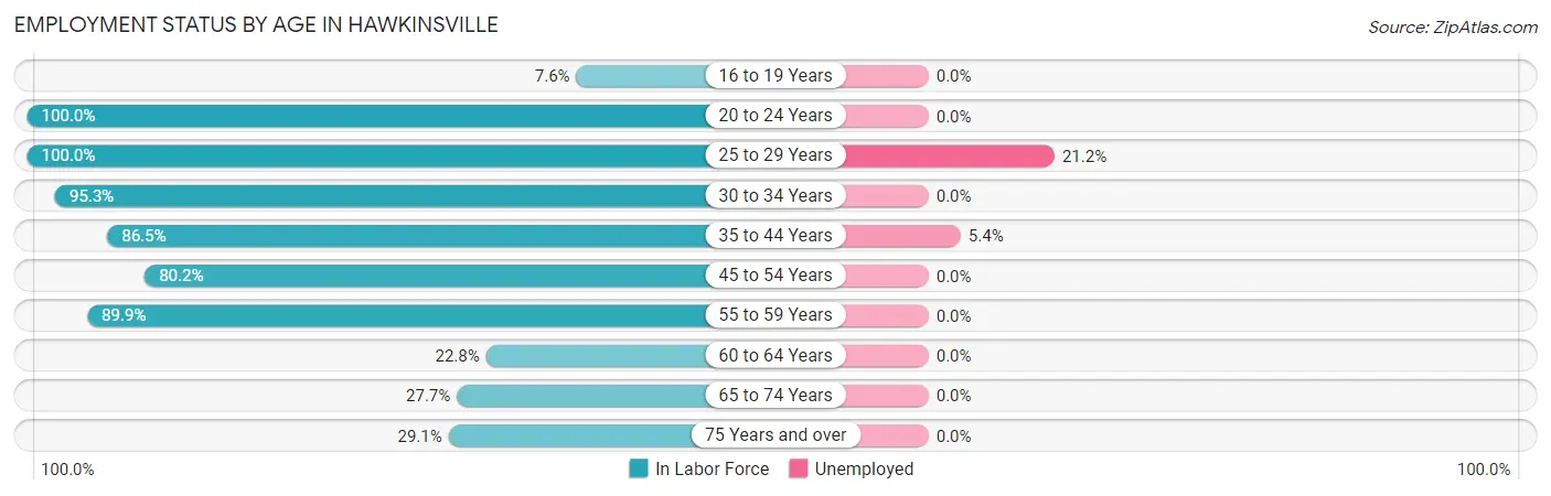 Employment Status by Age in Hawkinsville