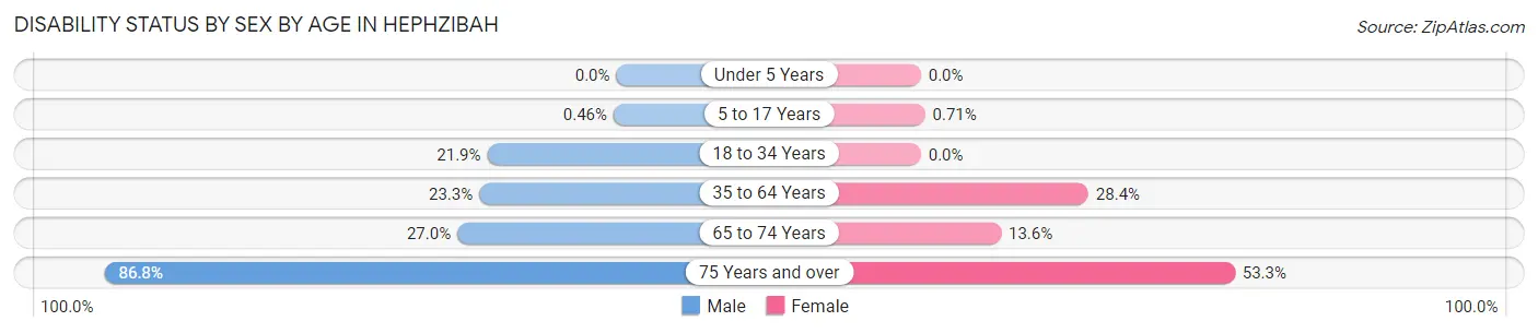 Disability Status by Sex by Age in Hephzibah