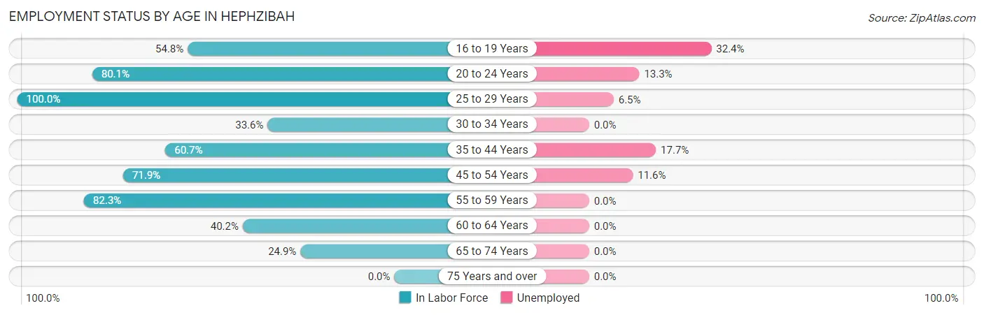 Employment Status by Age in Hephzibah