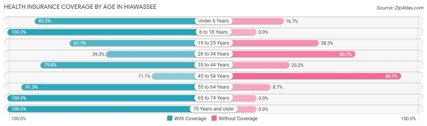 Health Insurance Coverage by Age in Hiawassee