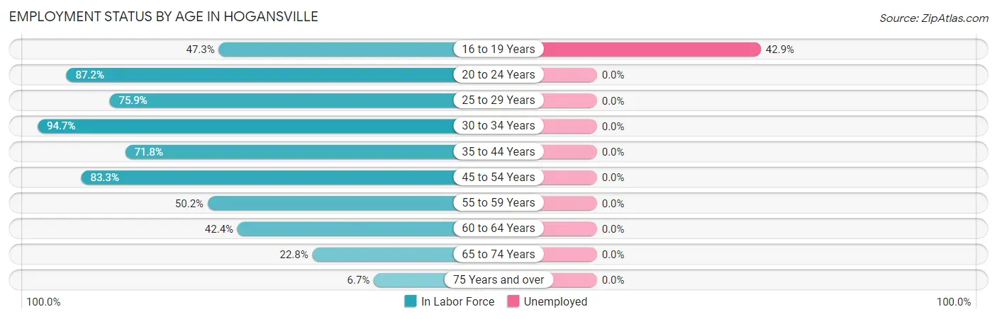 Employment Status by Age in Hogansville