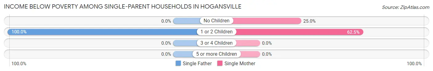 Income Below Poverty Among Single-Parent Households in Hogansville
