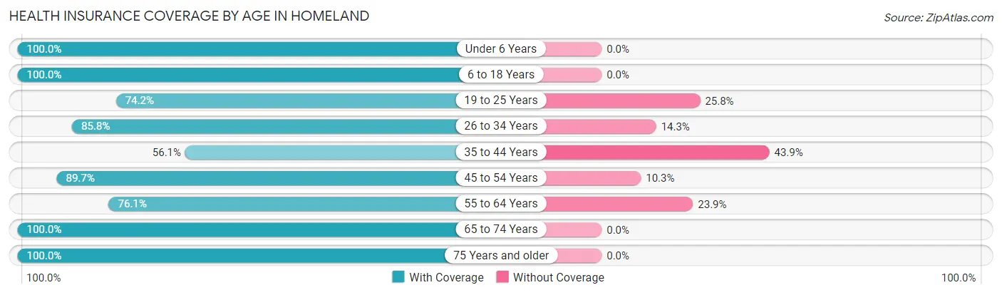 Health Insurance Coverage by Age in Homeland