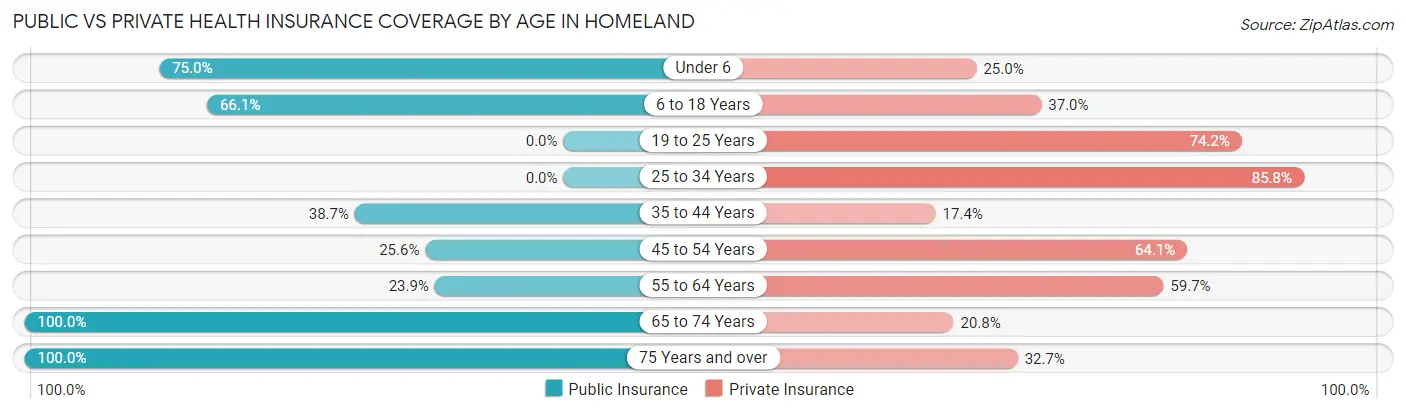 Public vs Private Health Insurance Coverage by Age in Homeland
