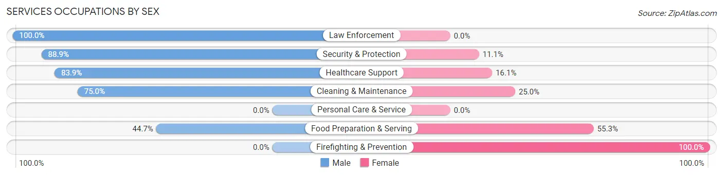 Services Occupations by Sex in Homeland