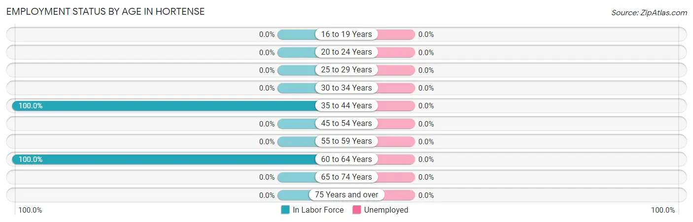 Employment Status by Age in Hortense