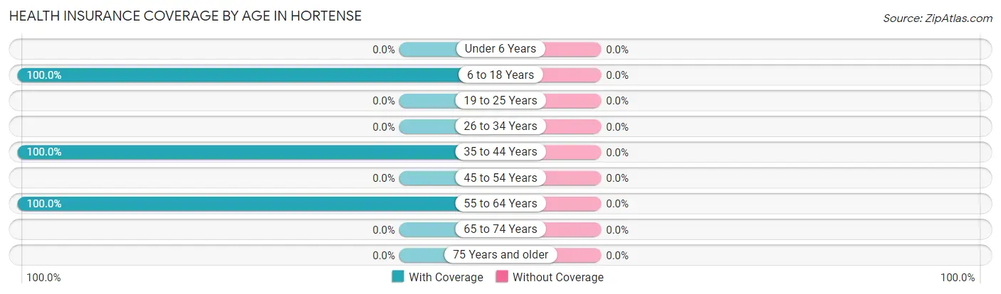 Health Insurance Coverage by Age in Hortense