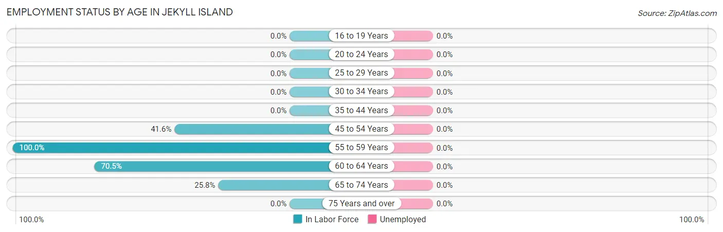 Employment Status by Age in Jekyll Island