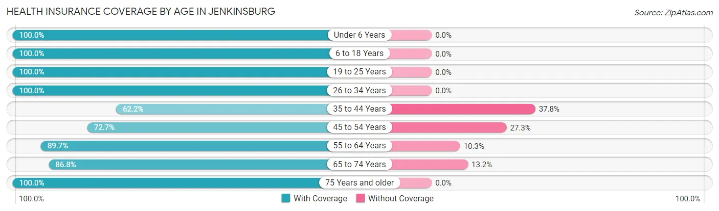 Health Insurance Coverage by Age in Jenkinsburg