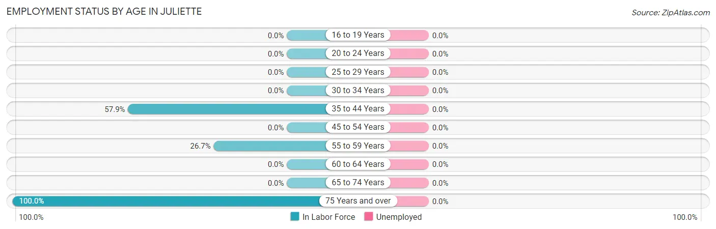 Employment Status by Age in Juliette