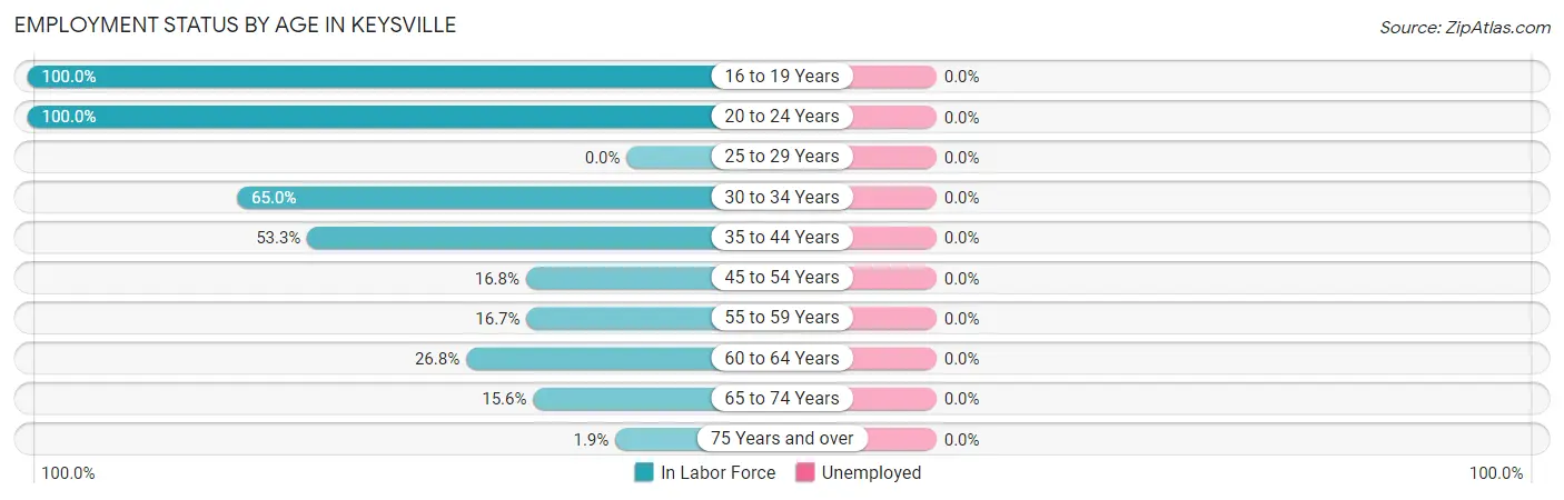 Employment Status by Age in Keysville