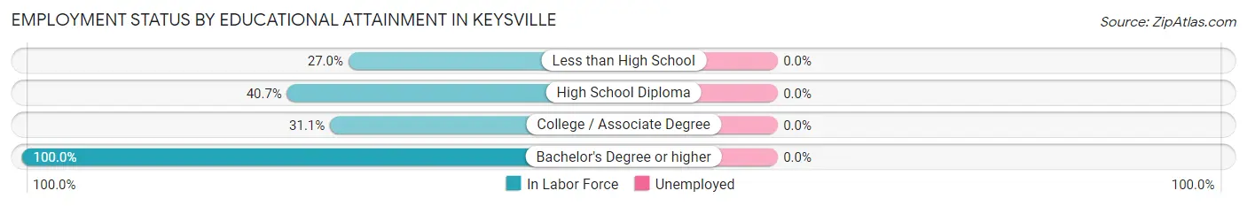 Employment Status by Educational Attainment in Keysville