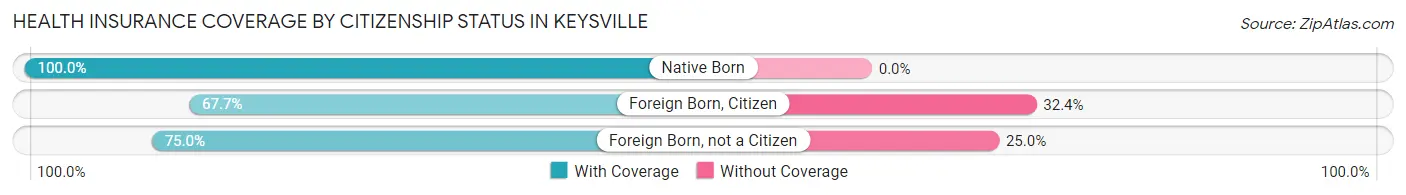 Health Insurance Coverage by Citizenship Status in Keysville