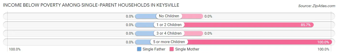 Income Below Poverty Among Single-Parent Households in Keysville