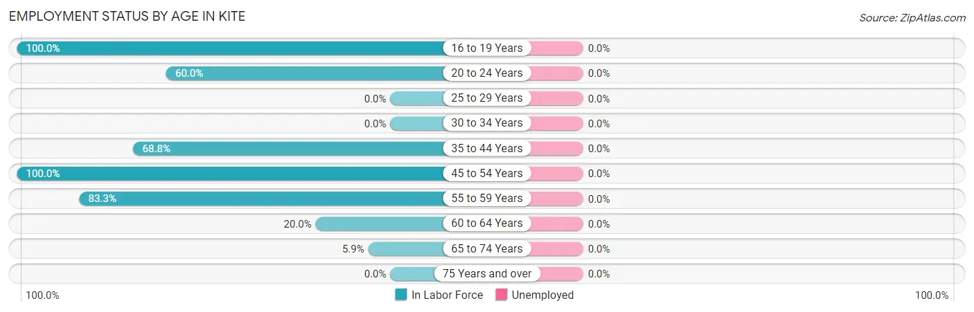 Employment Status by Age in Kite