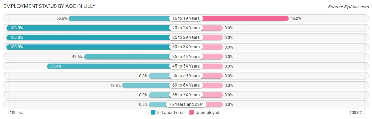Employment Status by Age in Lilly