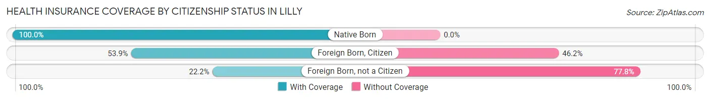Health Insurance Coverage by Citizenship Status in Lilly