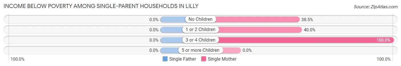 Income Below Poverty Among Single-Parent Households in Lilly