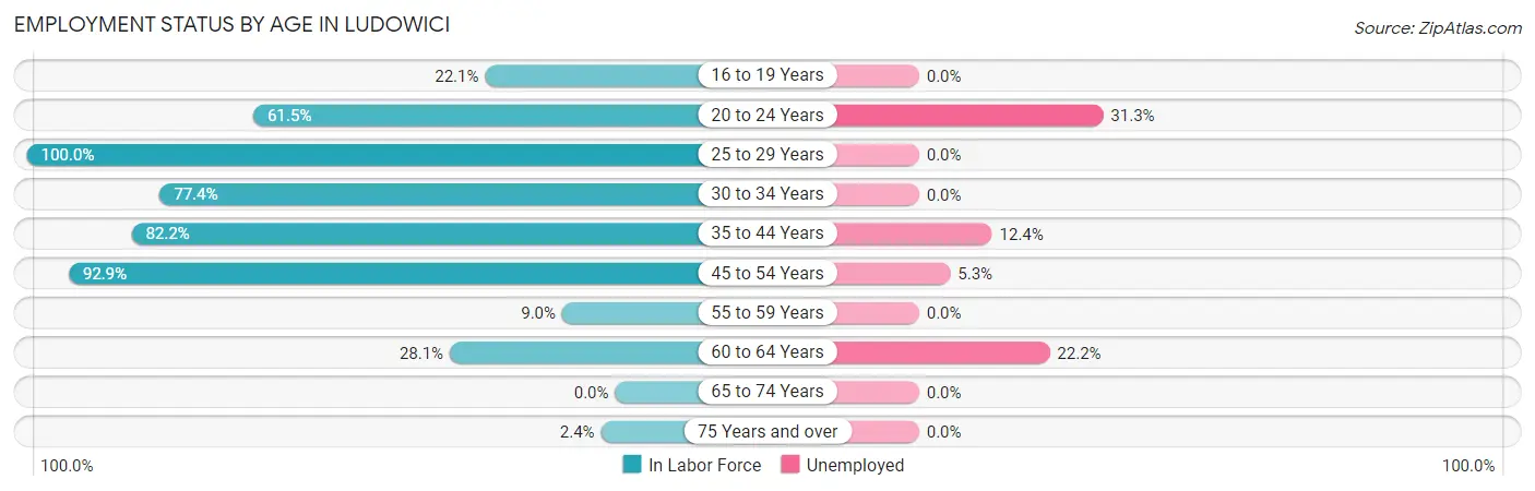 Employment Status by Age in Ludowici