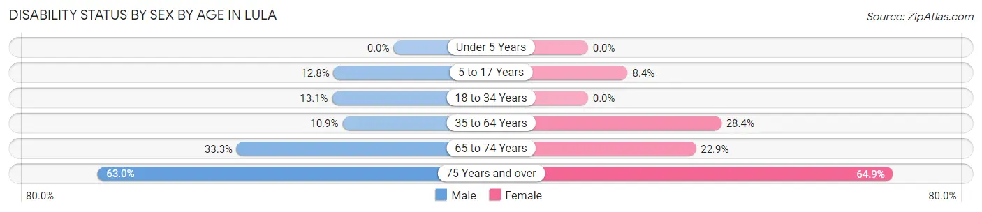 Disability Status by Sex by Age in Lula