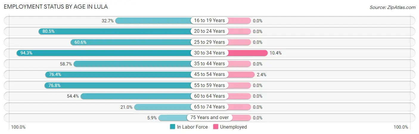 Employment Status by Age in Lula