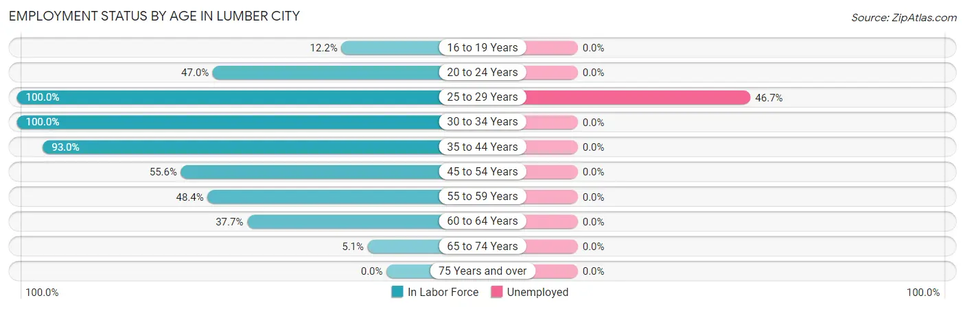 Employment Status by Age in Lumber City