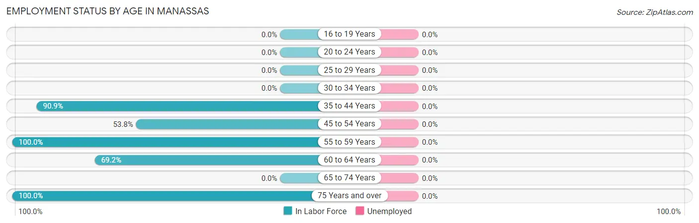 Employment Status by Age in Manassas