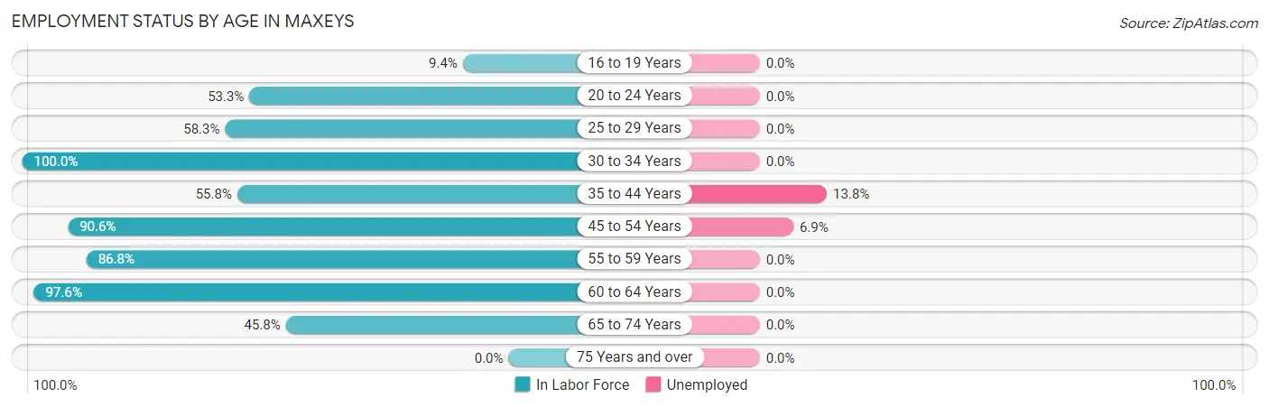 Employment Status by Age in Maxeys