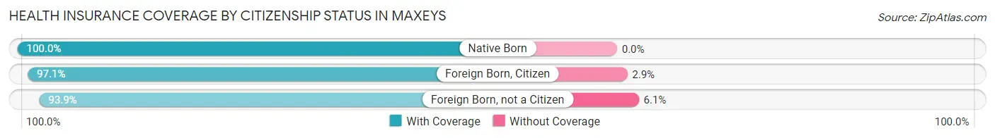 Health Insurance Coverage by Citizenship Status in Maxeys