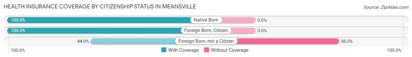 Health Insurance Coverage by Citizenship Status in Meansville