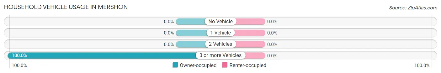 Household Vehicle Usage in Mershon