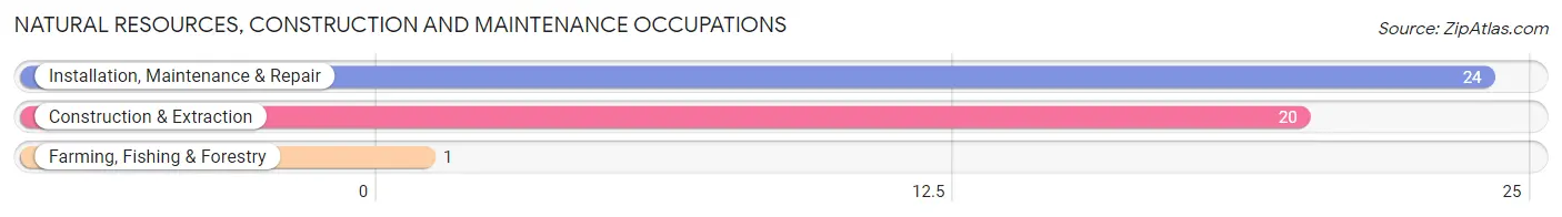 Natural Resources, Construction and Maintenance Occupations in Milner