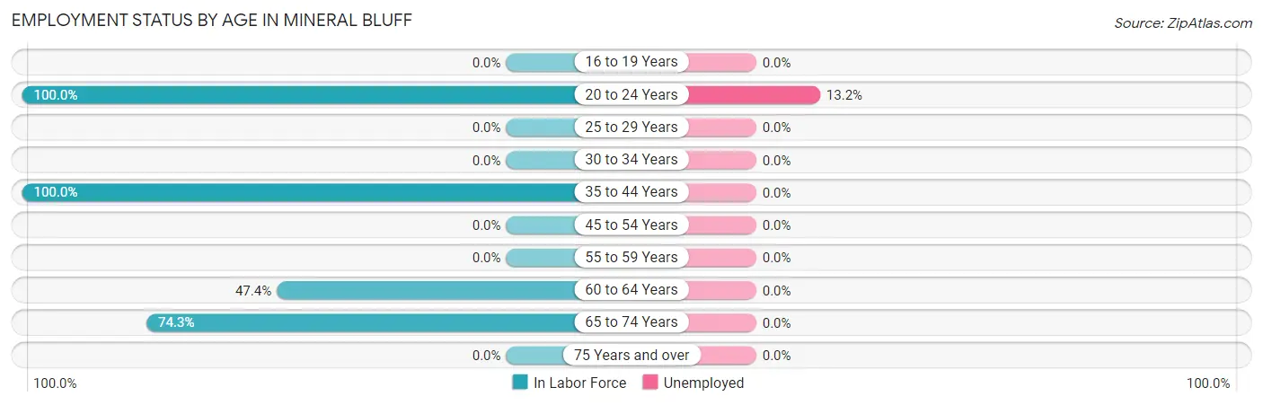 Employment Status by Age in Mineral Bluff