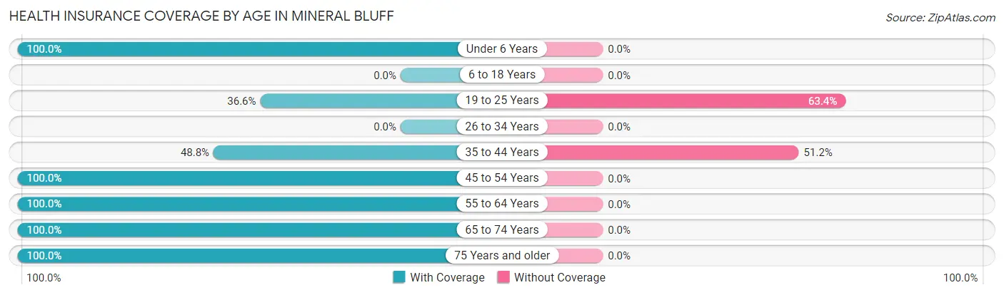 Health Insurance Coverage by Age in Mineral Bluff