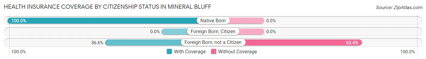 Health Insurance Coverage by Citizenship Status in Mineral Bluff