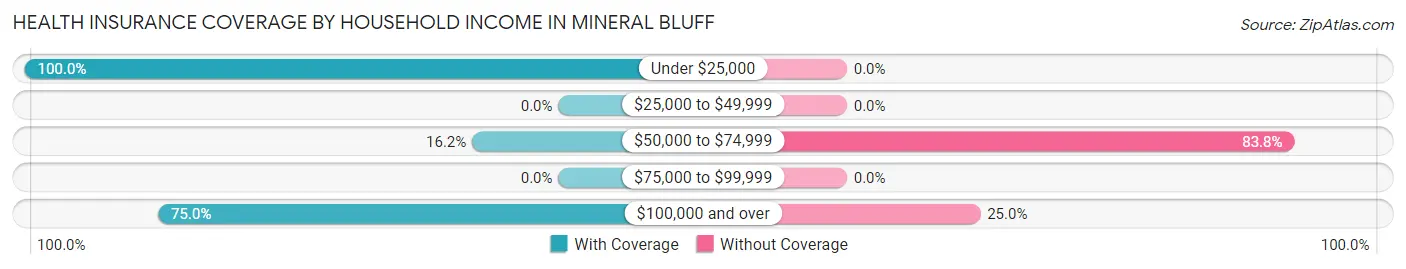 Health Insurance Coverage by Household Income in Mineral Bluff