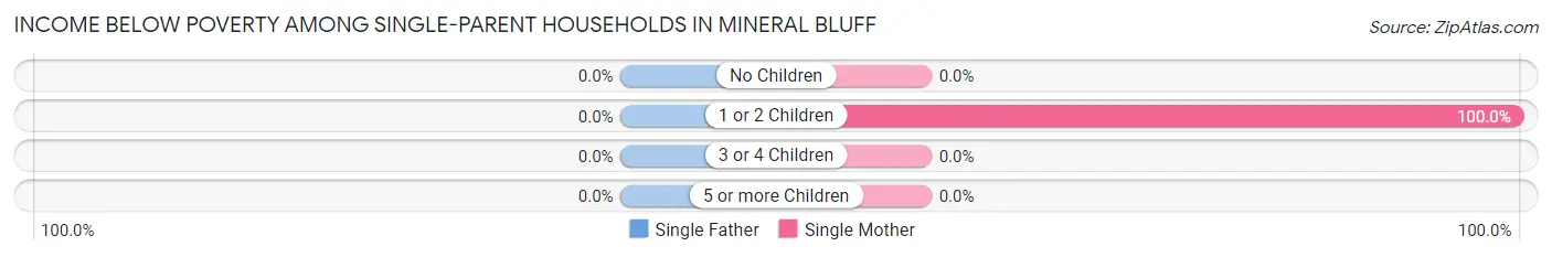 Income Below Poverty Among Single-Parent Households in Mineral Bluff