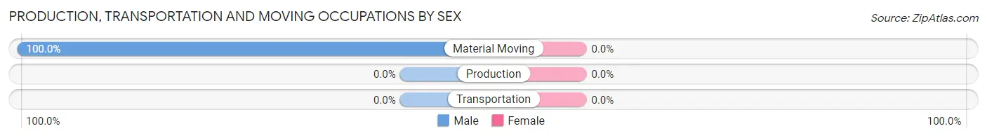 Production, Transportation and Moving Occupations by Sex in Mineral Bluff