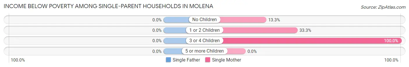 Income Below Poverty Among Single-Parent Households in Molena