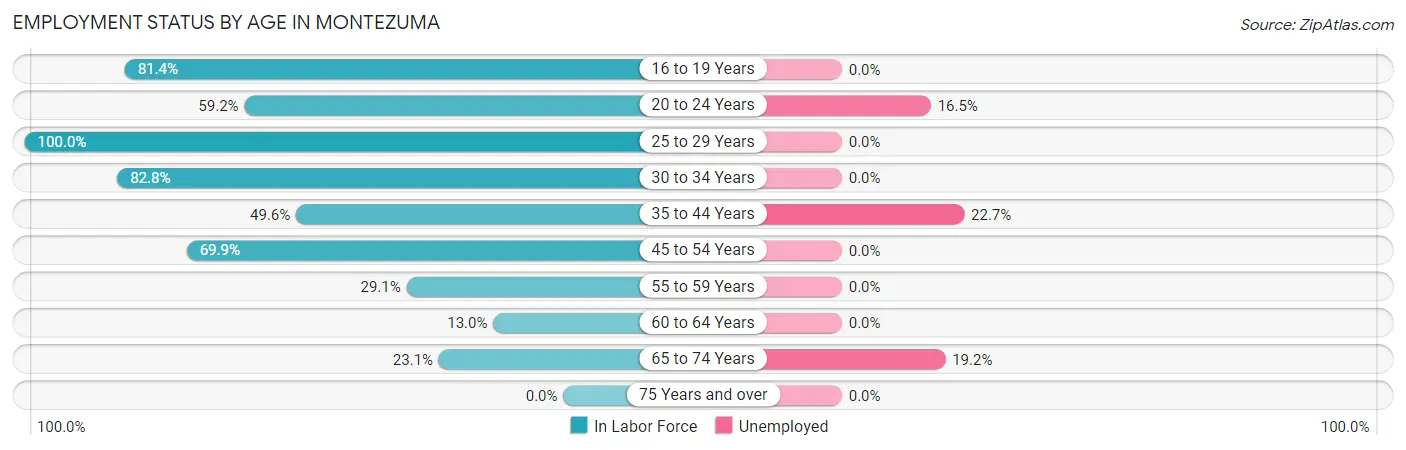 Employment Status by Age in Montezuma