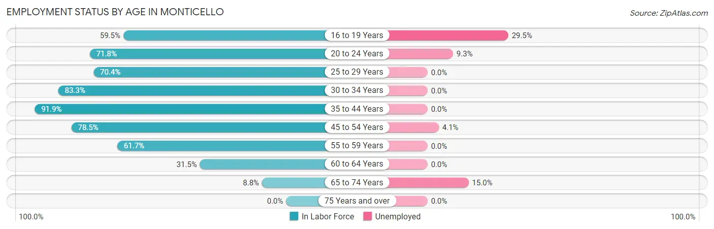 Employment Status by Age in Monticello