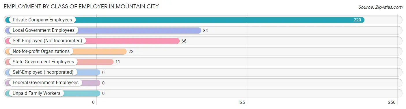 Employment by Class of Employer in Mountain City