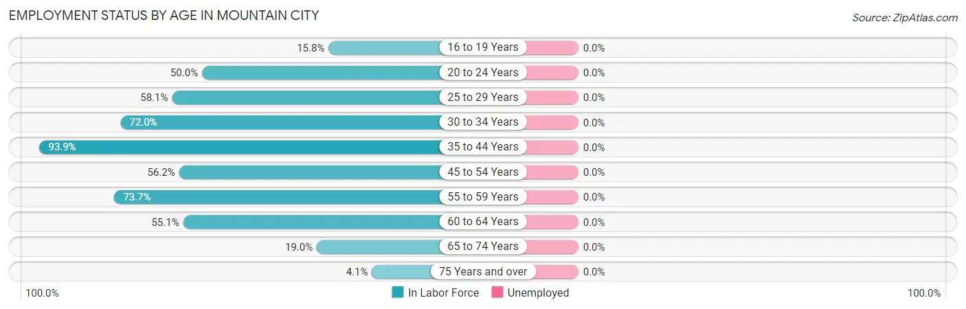 Employment Status by Age in Mountain City