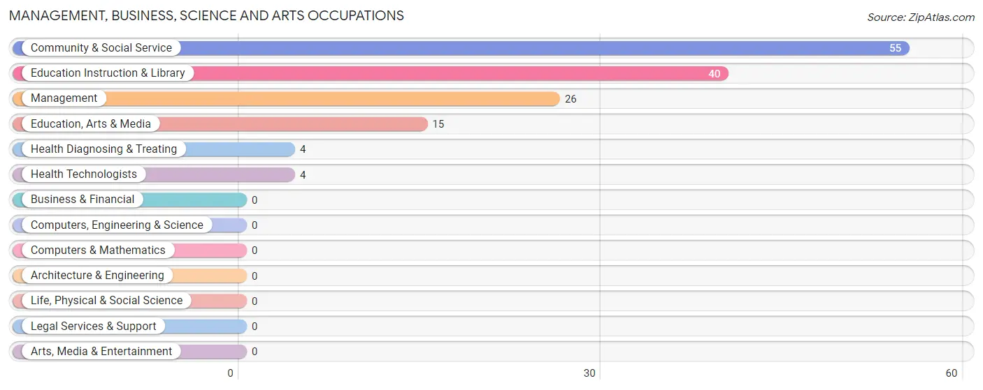 Management, Business, Science and Arts Occupations in Mountain City