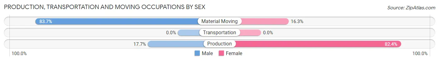 Production, Transportation and Moving Occupations by Sex in Mountain City