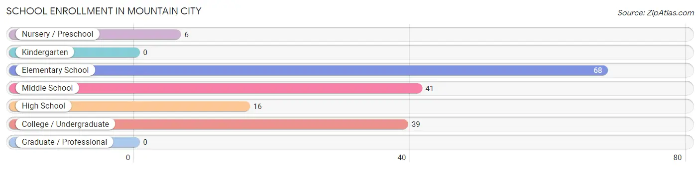 School Enrollment in Mountain City