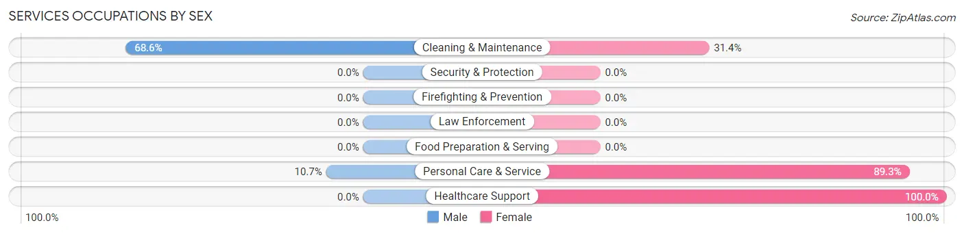 Services Occupations by Sex in Mountain City